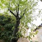 La Freixera