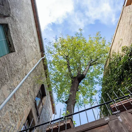 Hotel La Freixera